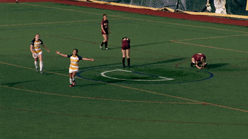 Soccer Celebration GIF by Canisius Athletics