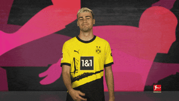Come Here Borussia Dortmund GIF by Bundesliga