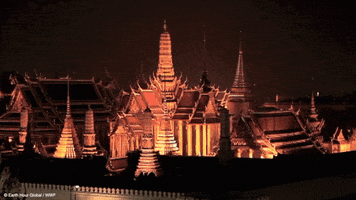 grand palace night GIF by Earth Hour