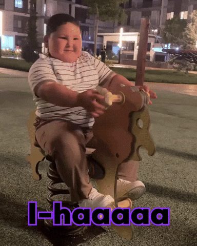 Horse Panda GIF