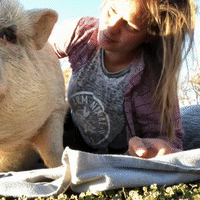 piggy pig cuddles GIF