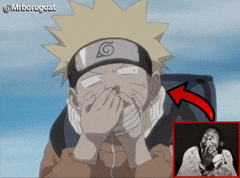 What The Hell Wtf GIF