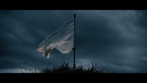 Image result for white flag gif