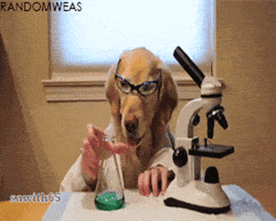 Dog Chemistry GIF