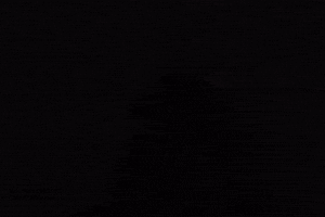 Quepaso GIF