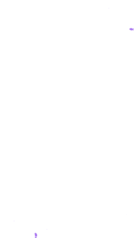 Footprints Sticker by UBC Arts