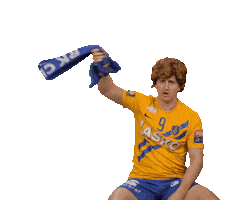 RK CELJE Sticker