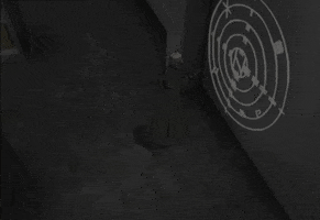 200.gif?cid=fc005b087d8f58319df76ec40564db7d8279e762b5398ecb&rid=200.gif&ct=g