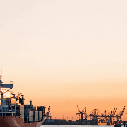 Commerce Import GIF by Vetement Quebec