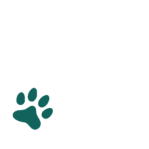 Paws Sticker by KUNKAY