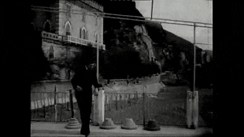 scienceviz sonne halt ferry radax konrad bayer GIF