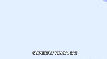 interludist daze superfly ninja cat superfly ninja cat GIF