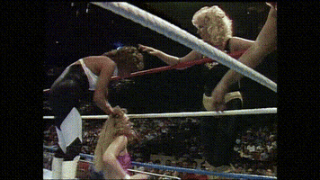 Wwf GIF