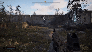 Stalker2 GIF