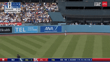 Mlb Chicago GIF