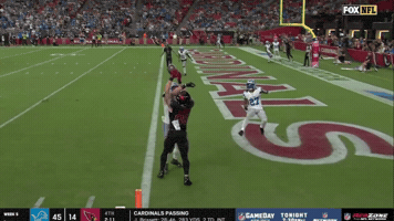 Arizona Cardinals Nfl GIF