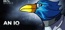 Bird GIF