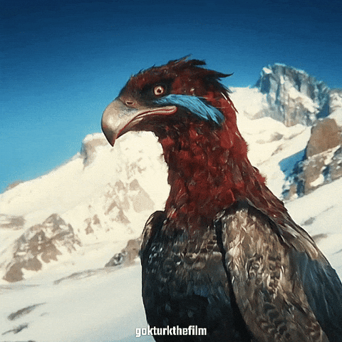 Göktürk GIF