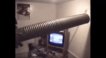 Ray Ray GIF