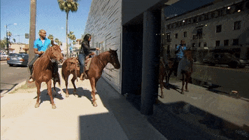 beverly hills horse GIF by The Bachelorette