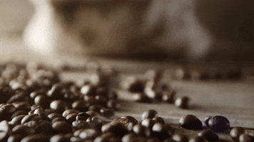 Hungry But First Coffee GIF by Berk's Beans Coffee