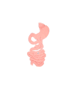 Obesity Sticker by Necat Kaplan