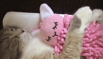 GIF