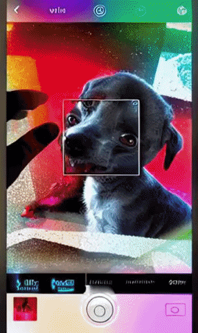 Dog Glitch GIF by X Amount Records