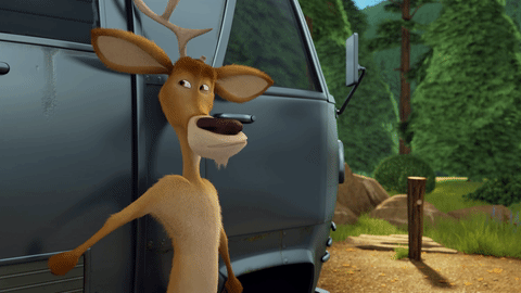 Open Season Signaling GIF by Sony Pictures Animation