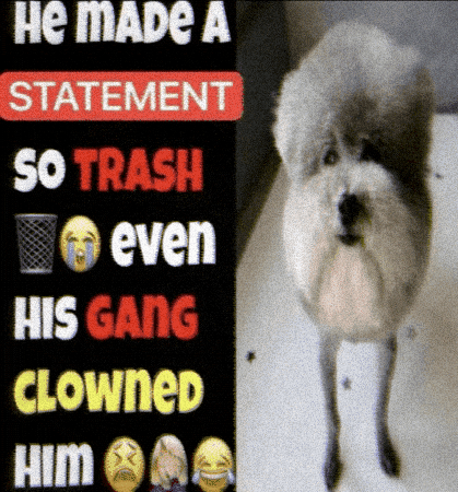 He Made A Statement GIF