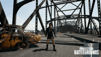 Playerunknown'S Battlegrounds Dance GIF