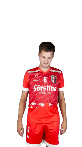 FT1848fussball Sticker