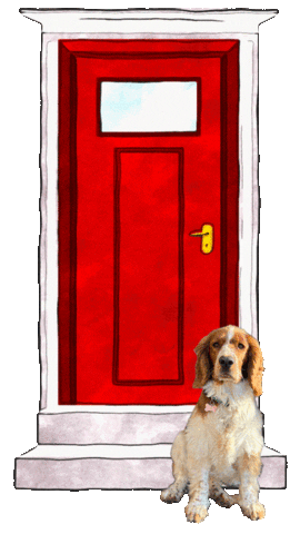 Sticker by Peak Home Search