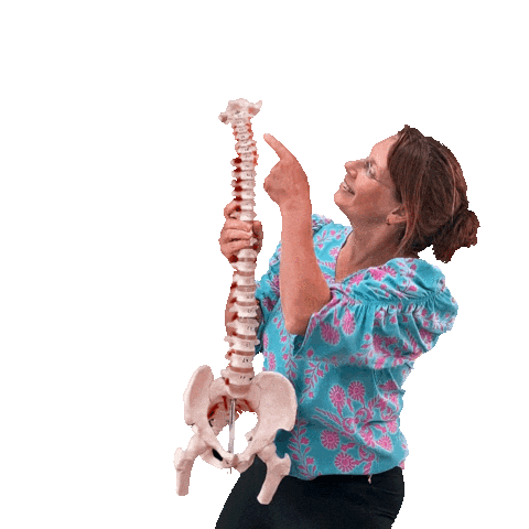 Rugpijn vrij met Wies Sticker