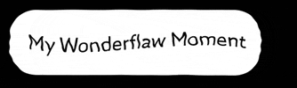 wonderflaw moment flaw wonderflaw GIF