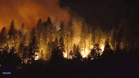 Growing Wildfire Scorches Forest in Butte County, California