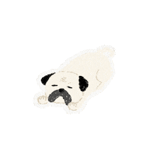 Dog Sticker