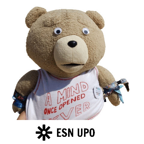 Erasmus Student Network UPO Sticker