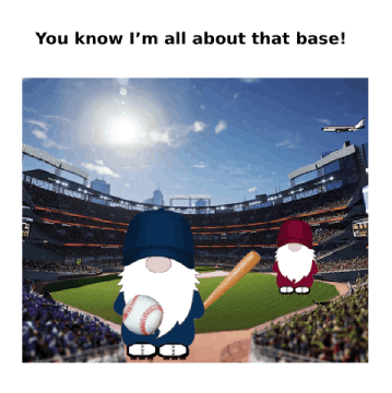 Sport Baseball GIF