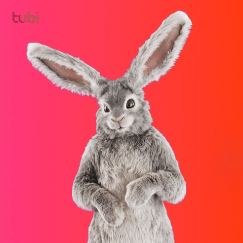 Bunny Rabbit GIF by Tubi