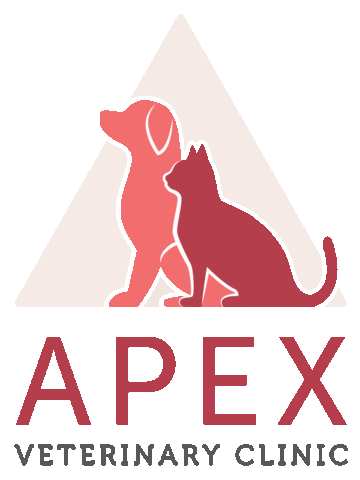 Apexvets Sticker