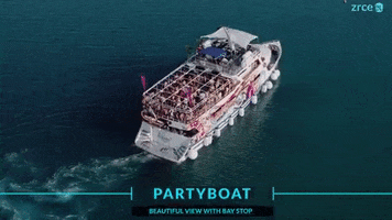 Party Partyboat GIF by zrce.eu