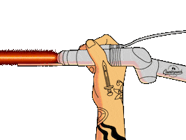 CounterpunchLaser Sticker