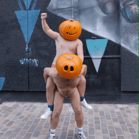 Trick Or Treat Halloween GIF by Budgy Smuggler