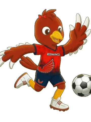 Redwings Sticker by soyliceo