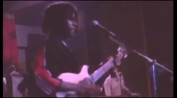 live GIF by Peter Tosh
