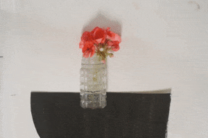 Littlebettyjane GIF