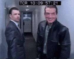 Falco GIF