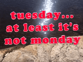 Video gif. Sunlight glistens across rippling water beside a rocky shore. Text, "Tuesday. At least it's not Monday."