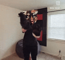 Furry GIF